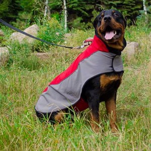 Накидка дождевик из нейлона для ротвейлера «Raincoat Cape»
